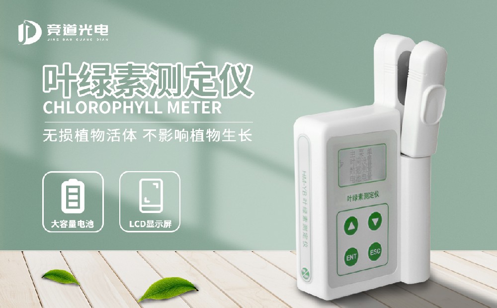 Ҷ���ؼ����