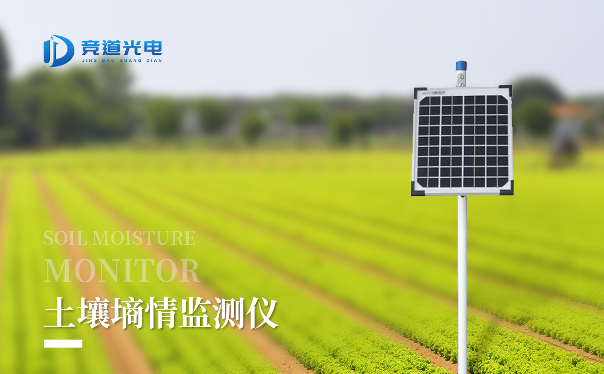 ��ʽ����������վ