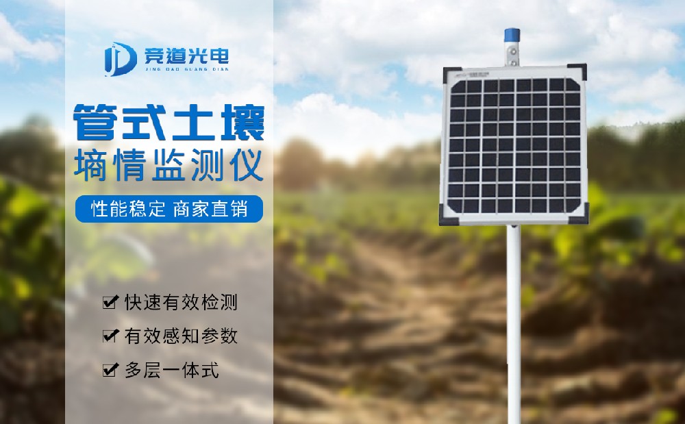 ��ʽ���������Զ������