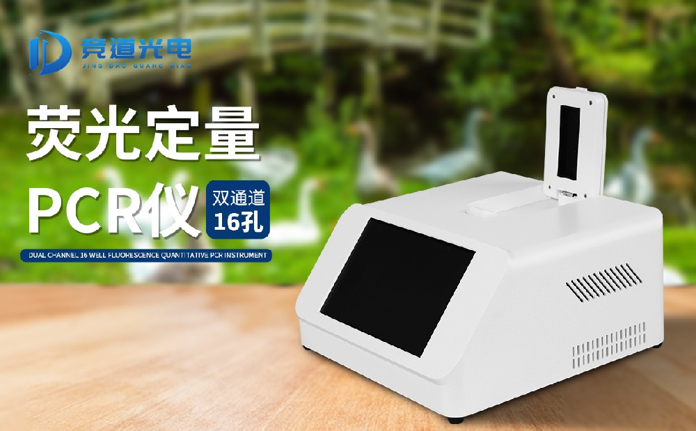 ���������������չ��������pcr����ǵ�����