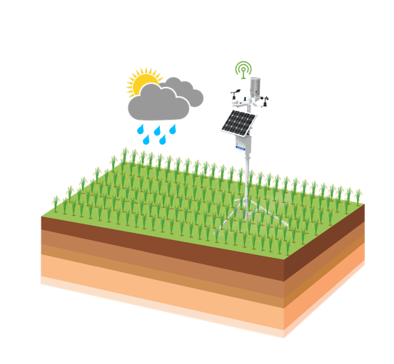 ������ʱ�������ǲ���(�й���)�ٷ���վ