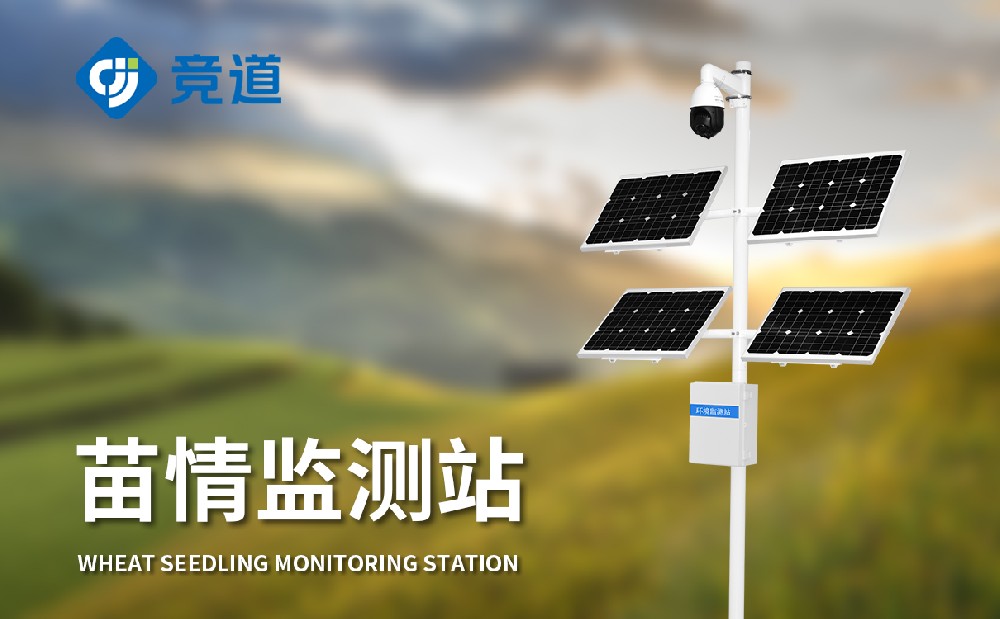  ������վԶ���������������������