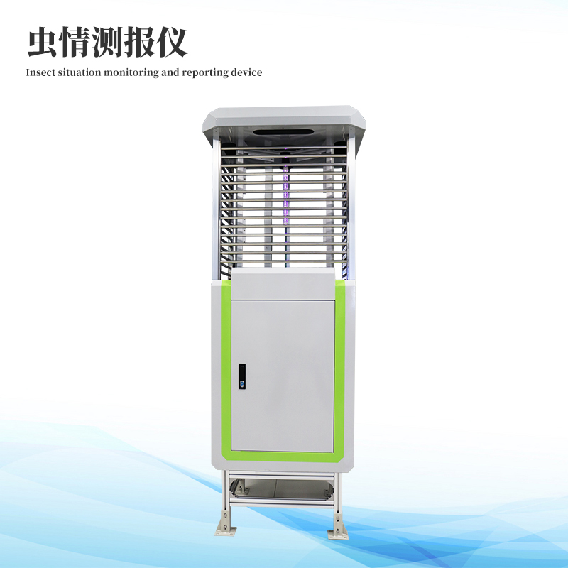  ����ⱨ��