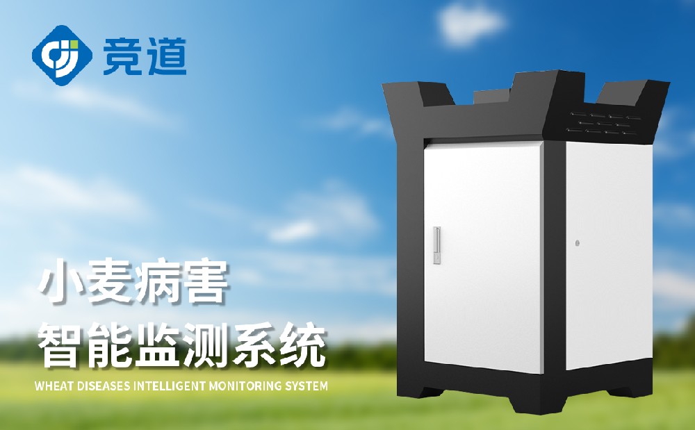 С���ù�������