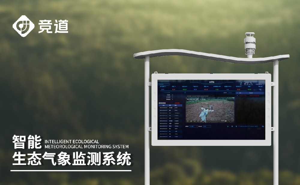 �������Ӽ��վ�����������������������ֶ�