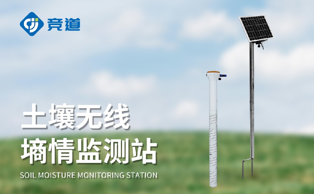 ¹ÜʽÍÁÈÀÉÊÇé¼à²â×°±¸