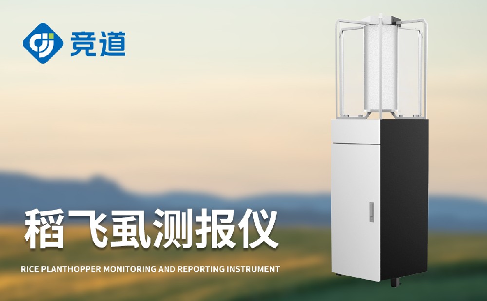 ����ʭ�����