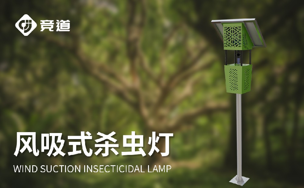 ����ʽɱ���