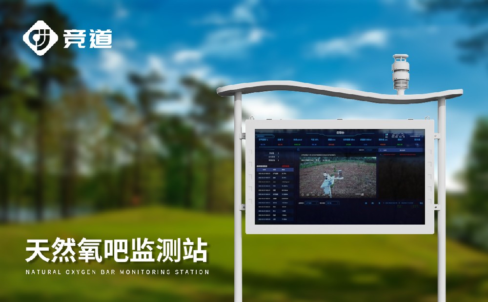  �������Ӽ��վ���˾������������ܹ�ʩչ��Щ����