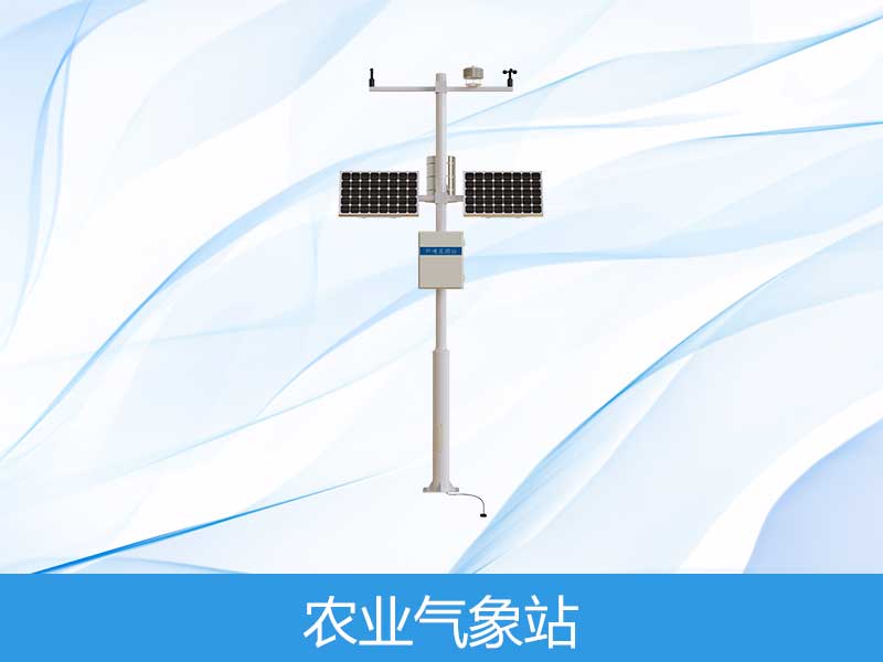 ֲ������