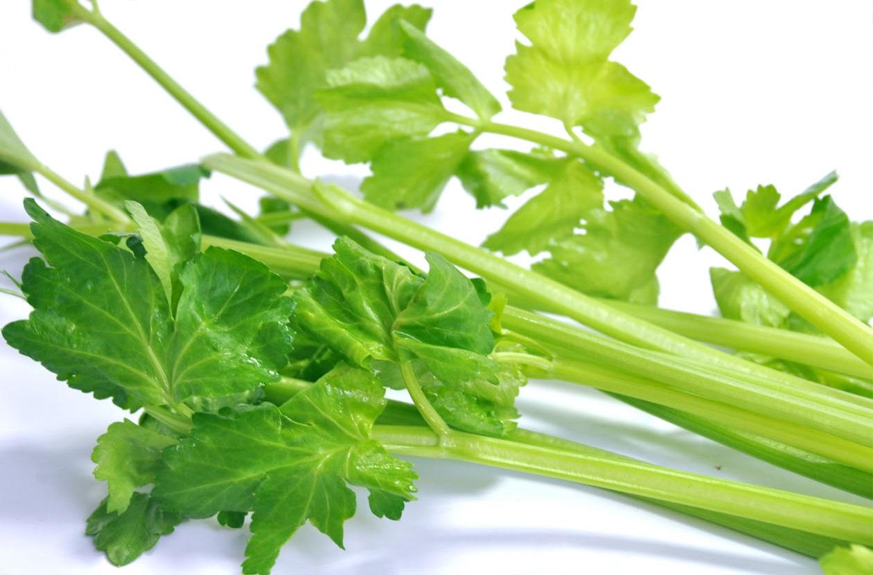 �߲��Ǹ�������������Щ��λҲ���ã�