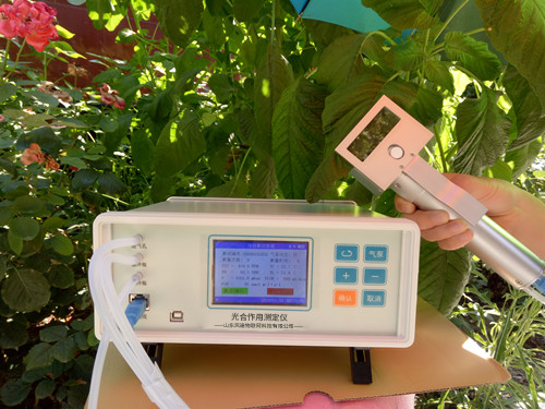 ֲ���������к�Ӧ����������