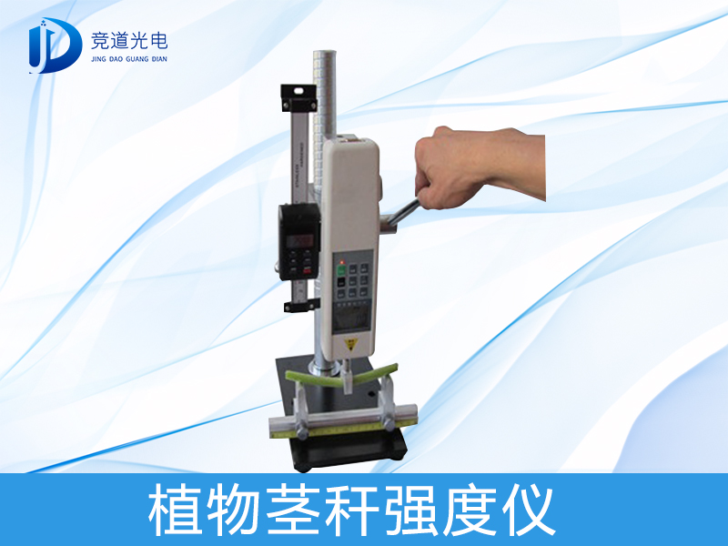 Ϊʲô�о�ֲ�ﾥ��ǿ����������