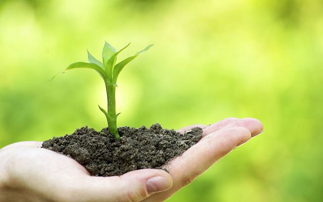 �����������Ʒ���ļҺ�������