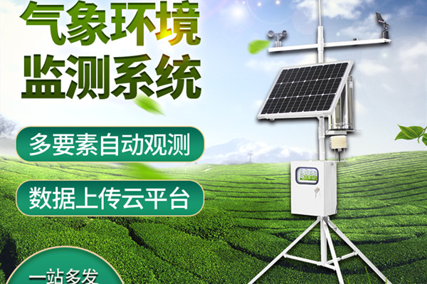 С�������Ӳ�վ����������Щ������