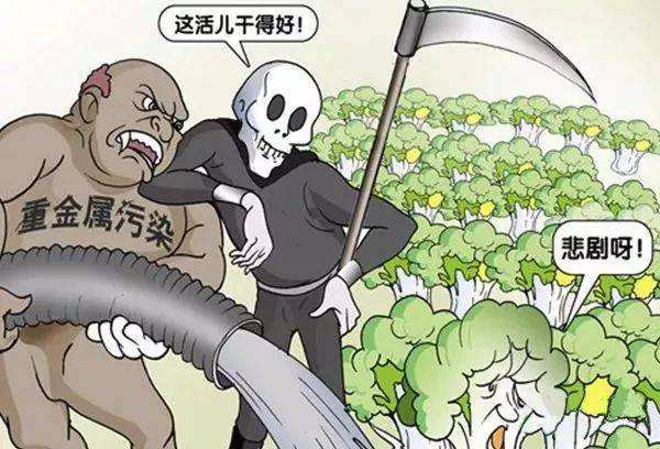 ��ʳ�徲������ð�������