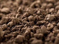 �������ּ���Ǽ�Ǯ�Ǽ���������