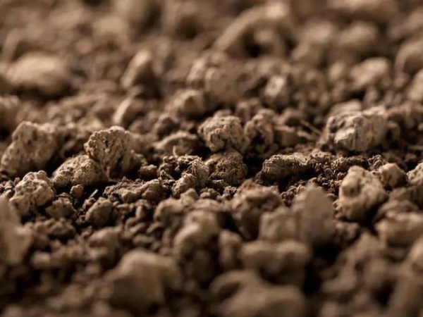 �������ּ���Ǽ�Ǯ�Ǽ��ࣿ��