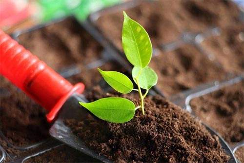 ��Яʽ���������ٲ��Ǹ�������ʩ������