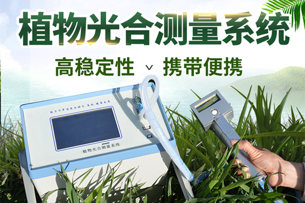 ��Яʽ�����