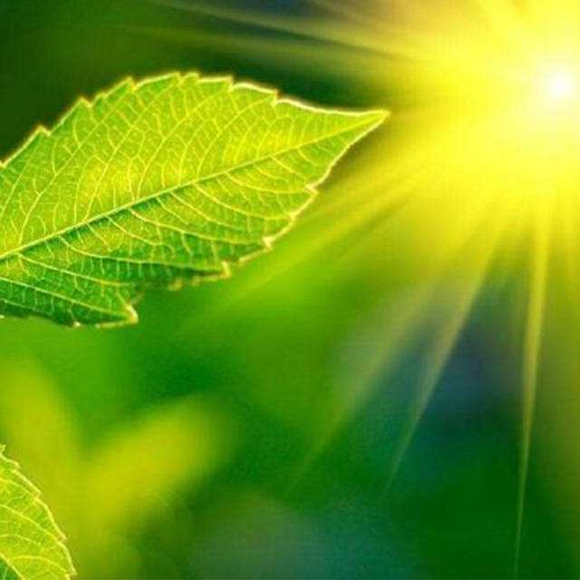 ��Яʽ���������