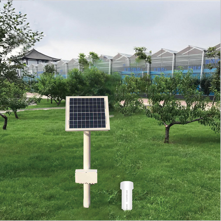 ��ʽ�����������ǣ�����������������