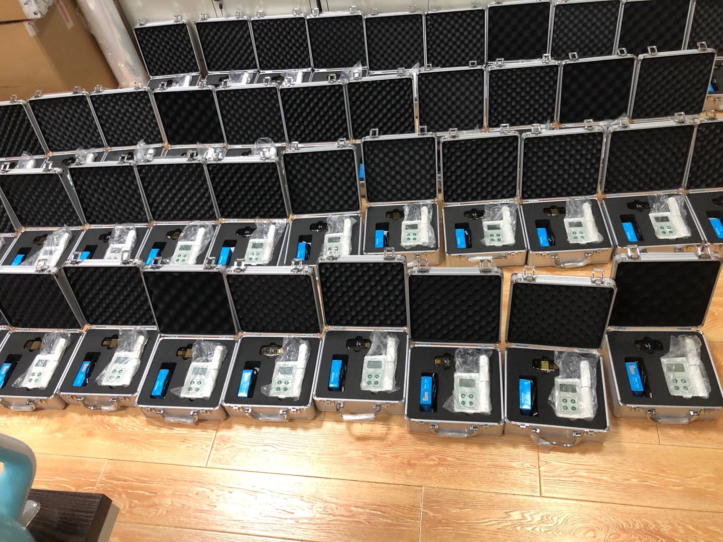 �ֳ�ʽҶ���زⶨ����ϸ����