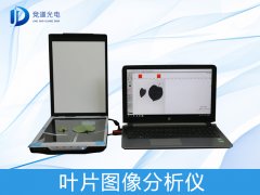 ҶƬͼ������������������