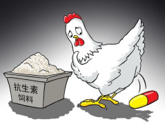 ʳ�￹���ز�����������������⣿��