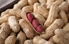 ����ù�ؼ���Ƿ��ؼ����ж�