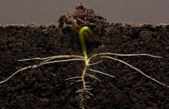 ΪʲôҪ���������л��ʼ����������