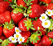 ΢����ũ�м���Ǽ��ũ��������